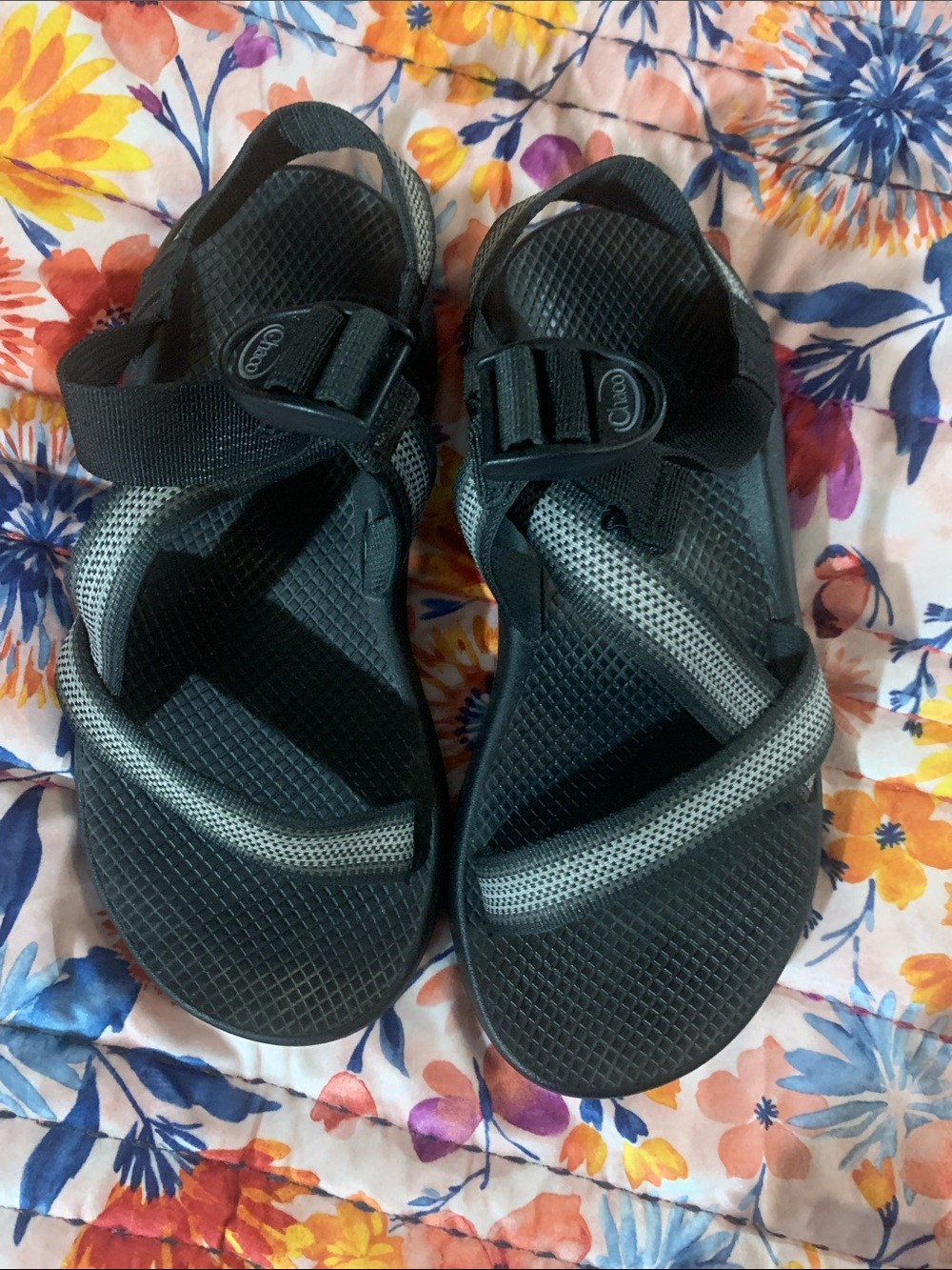 Chaco - Picture 5 of 8